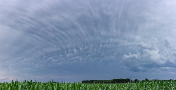 Mammatus cloud from Jahodná, Sk