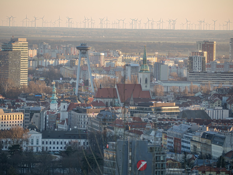 P3050943-Enhanced-NR-Edit.jpg
