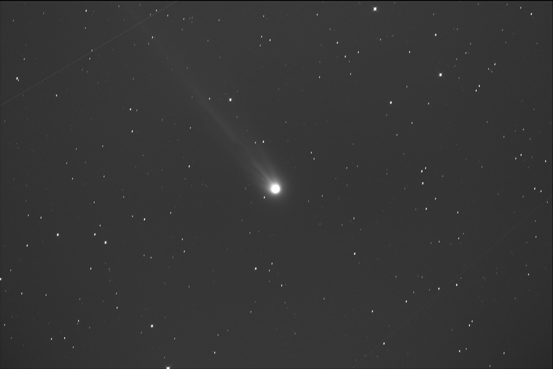 C2025A6_20251004_comet copy.jpg